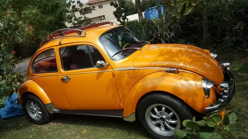 Orange Volkswagen Beetle among trees with a fitted red-slatted roof rack