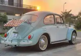 Deck-Lid Rack customer build photo from Eastern Automotive gallery