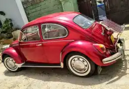 Deck-Lid Rack customer build photo from Eastern Automotive gallery